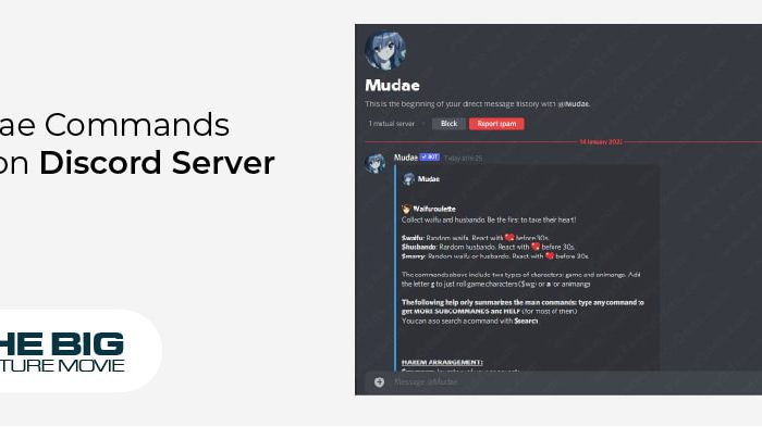 Mudae Commands List on Discord Server