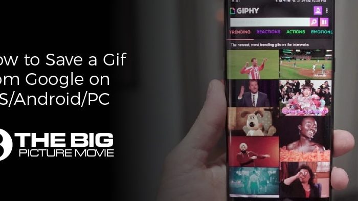 How to Save a Gif from Google