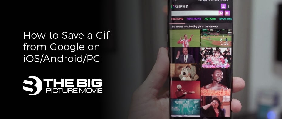 How to Save a Gif from Google on iOS/Android/PC