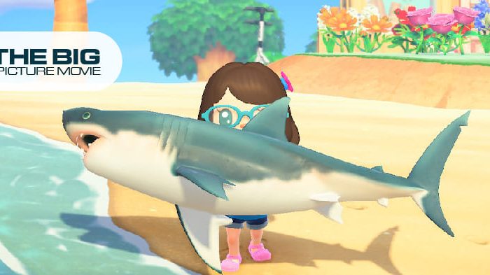 how to catch sharks in animal crossing