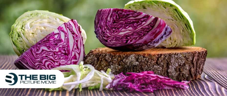 Chopped Cabbage