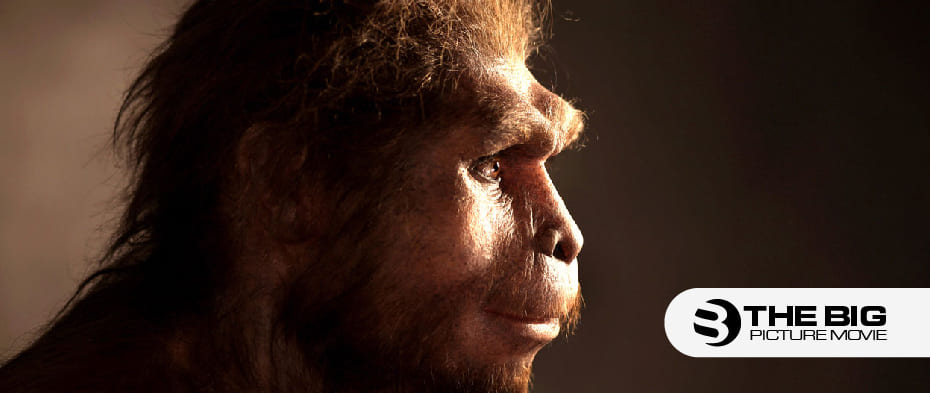 Evolution And Origin of Man