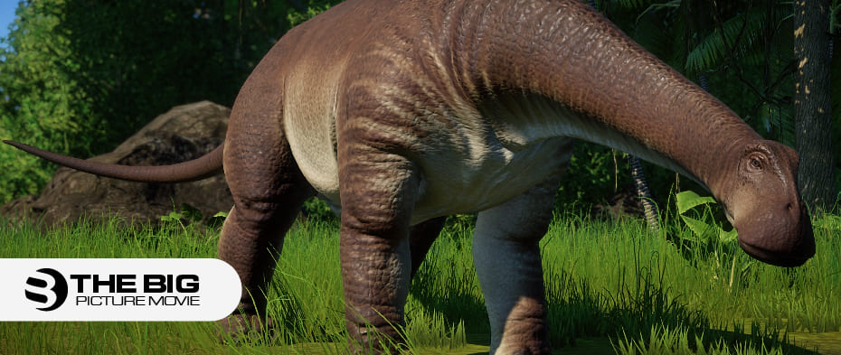 What Did Nigersaurus Look Like