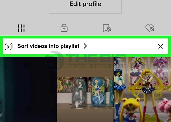 sort videos into playlist