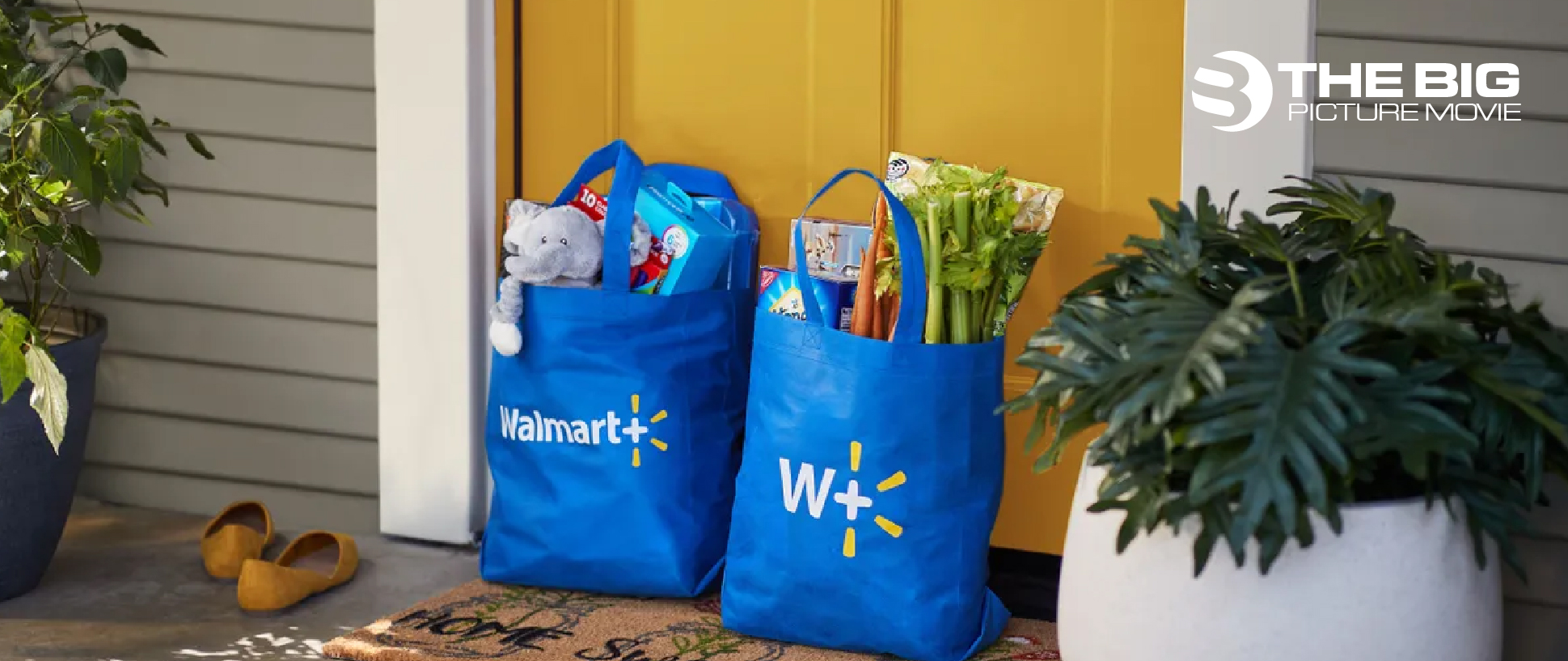How to cancel Walmart subscription in Few Steps