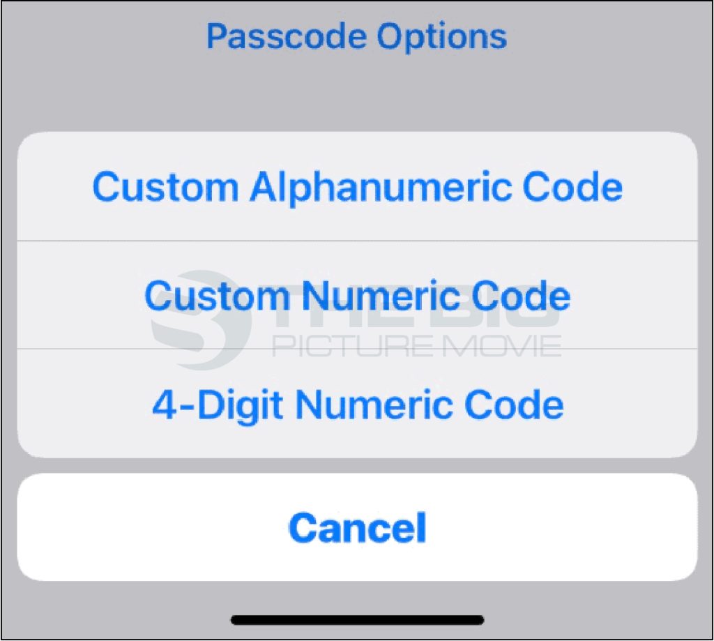 Choose passcode